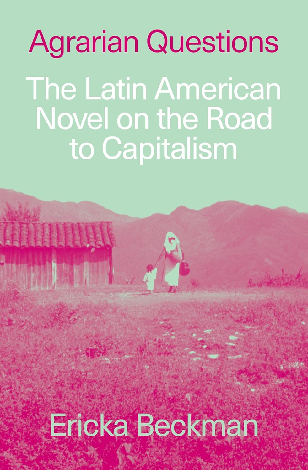 Agrarian Questions: The Latin American Novel on the Road to&nbsp;Capitalism