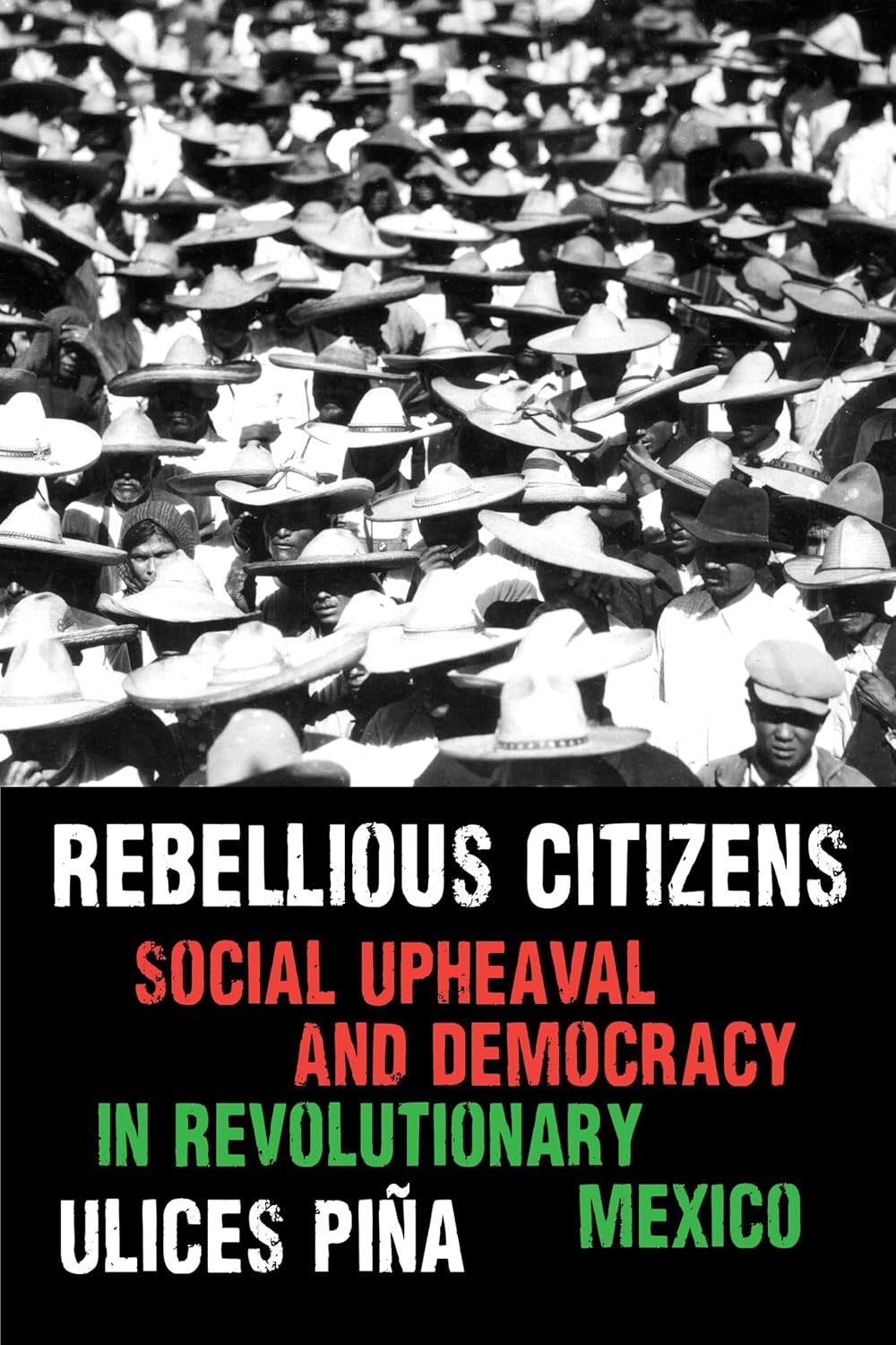 Rebellious Citizens: Social Upheaval and Democracy in Revolutionary Mexico
